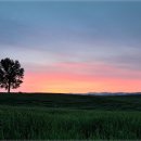 안성목장 이미지