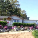 퍼피퍼피(puppy puppy) 이미지