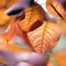 조현우정신건강의학과의원 이미지