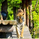 문수골권역마을 이미지