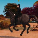 대공목장 이미지