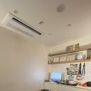 채플린통증교정클리닉 | 화곡재활운동 골반 찝힘 통증 해결하고 온 움직임클리닉 강서화곡점 솔직 후기