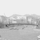 원평육교 - 정선군 | 원평육교