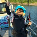 실안선착장 | 경남 사천 섬여행 | 아이들과 떠난 여름휴가 가족여행 엘파로펜션 후기