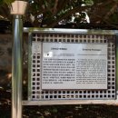 향교로R 이미지