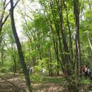 용모 농장 이미지