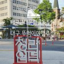 3.1만세로 | 투어_청라언덕 ] 대구 가볼만한 곳 추천👍》》 선교사 주택_3.1만세운동길_계산성당 》》 대구 뚜벅이 여행