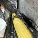 막퍼주는보쌈칼국수