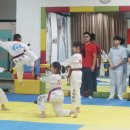 한양대태권도 이미지