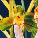 천상에서 이미지