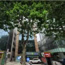 금화빌딩 이미지