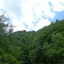 법수치여울목펜션 이미지