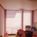 시공-나비 이미지