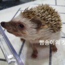 새봄동물병원 이미지