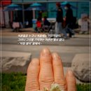 첫만남 이미지