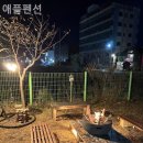 애플펜션 | 제부도펜션 다녀온 후기 애플펜션 가격적당한 곳