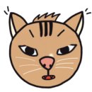 이끌림헤어 이미지