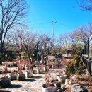 항아리식당 | 군포 야외 맛집 솔향기 항아리 바베큐 식당 테라스 바베큐 후기