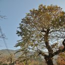 묘1리 경로당 이미지