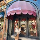 레이징덕 주식회사 | 도쿄 디즈니랜드 &amp; 디즈니씨를 하루만에 다 뿌시고 온 사람이 있다⁉️ | 퍼레이드 명당, 꿀팁, 어트랙션...