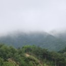 호반애견훈련소 이미지