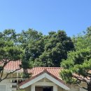 L`odeur(로더) | 근교 고양 초록 초록 신상 야외정원 카페 - 로더우드 L'odeur Wood (내부, 외부 두 번 방문, 주차 생생...