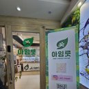 하안사거리 국민은행 앞 | 광명 도마뱀 분양 아임룻 후기 - 크레스티드 게코 노말 입양 기록