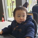 지율목장 네이버블로그
