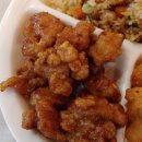 판다중식 이미지