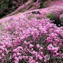 천주산 등산로 이미지