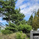 (주)유림테크 이미지