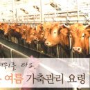 대산가축 이미지