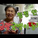 금광농장 이미지