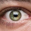 아이캐슬 이미지