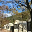 내장산국립공원 내장야영장 | 정읍 내장산국립공원 내장야영장 단풍캠🍁 시설후기 좋은자리 추천