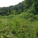 남한산성면-2 이미지