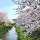 순성농협 하나로마트 이미지