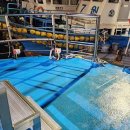 인천유선 이미지