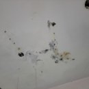 성훈빌딩 이미지