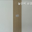 늘단비