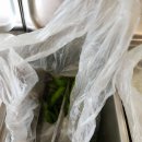 가마솥전통설렁탕 | 의정부 설렁탕맛집 서울녹각삼계탕 설렁탕 의정부본점 30년 전통 가마솥 육수 후기