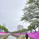 남계리 주차장 공중화장실 네이버블로그