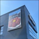 친구가있는집 | 제주도 스쿠터 빌리고 친구랑 갈치조림집 오메기떡 디저트 맛집 방문 후기