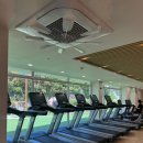 오라스테이 이미지