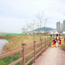 낙동강체육공원 인라인스케이트장+게이트볼장 이미지