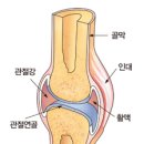 두레약국 이미지