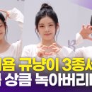 규냥이네
