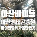 [아산 배미동] 아이와 함께 가볼 만한 곳 아산생태곤충원 &amp; 그린타워