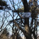 삼동 255-1 이미지