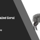 산양축산 이미지